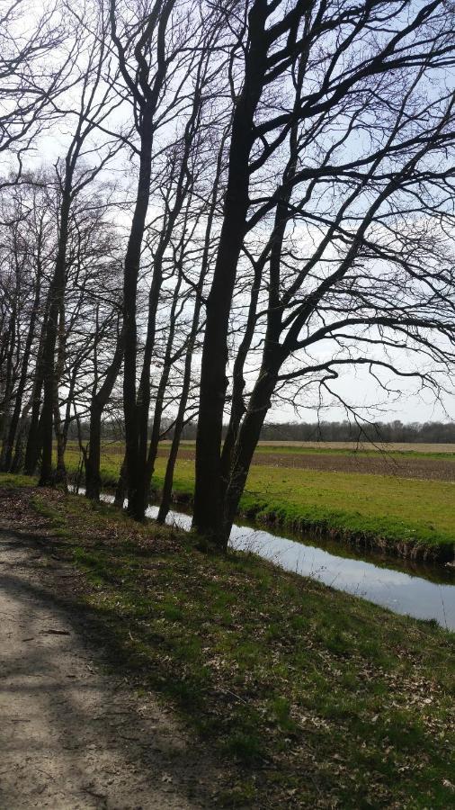 B&B Perron 22 Vierlingsbeek Exteriér fotografie